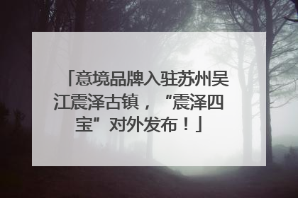意境品牌入驻苏州吴江震泽古镇，“震泽四宝”对外发布！