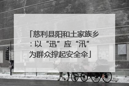 慈利县阳和土家族乡：以“迅”应“汛” 为群众撑起安全伞