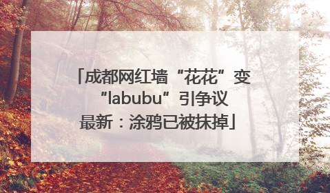 成都网红墙“花花”变“labubu”引争议 最新：涂鸦已被抹掉