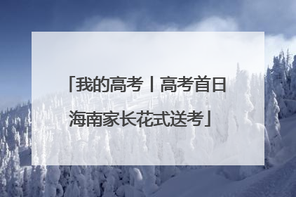 我的高考丨高考首日 海南家长花式送考