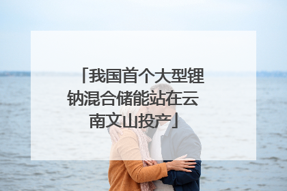 我国首个大型锂钠混合储能站在云南文山投产