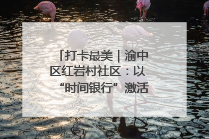 打卡最美｜渝中区红岩村社区：以“时间银行”激活垃圾分类新动能