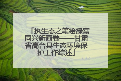 执生态之笔绘绿富同兴新画卷——甘肃省高台县生态环境保护工作综述