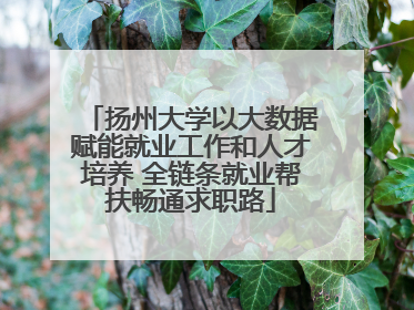 扬州大学以大数据赋能就业工作和人才培养 全链条就业帮扶畅通求职路
