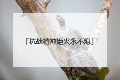 抗战精神炬火永不熄