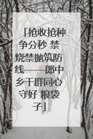 抢收抢种争分秒 禁烧禁抛筑防线——郎中乡干群同心守好 粮袋子