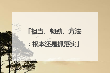 担当、韧劲、方法：根本还是抓落实