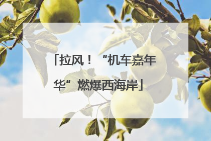拉风！“机车嘉年华”燃爆西海岸