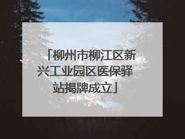 柳州市柳江区新兴工业园区医保驿站揭牌成立