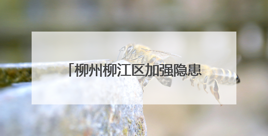 柳州柳江区加强隐患排查和物资储备 筑牢汛期“安全堤”