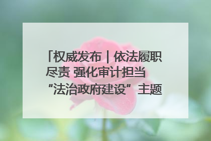 权威发布｜依法履职尽责 强化审计担当 “法治政府建设”主题系列新闻发布会市审计局专场召开