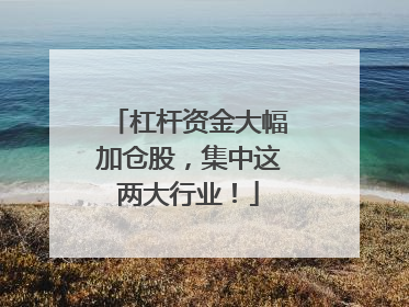 杠杆资金大幅加仓股，集中这两大行业！