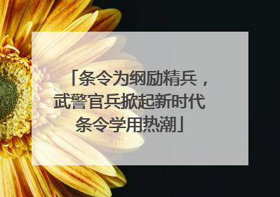 条令为纲励精兵，武警官兵掀起新时代条令学用热潮