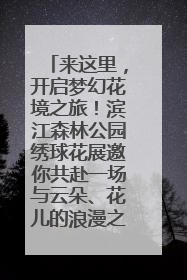 来这里，开启梦幻花境之旅！滨江森林公园绣球花展邀你共赴一场与云朵、花儿的浪漫之约
