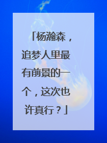 杨瀚森，追梦人里最有前景的一个，这次也许真行？