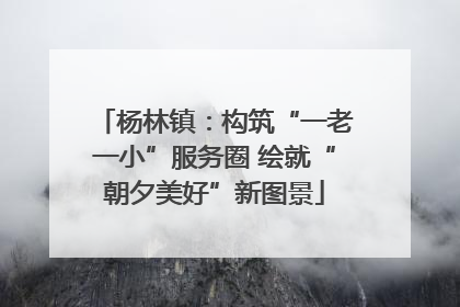 杨林镇：构筑“一老一小”服务圈 绘就“朝夕美好”新图景