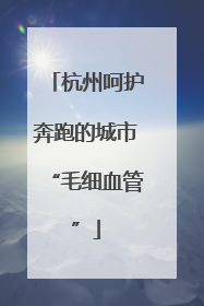 杭州呵护奔跑的城市“毛细血管”