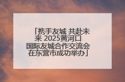 携手友城 共赴未来 2025黄河口国际友城合作交流会在东营市成功举办