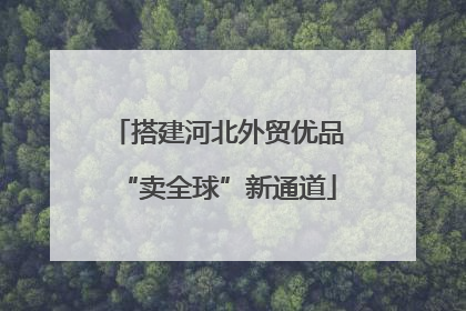 搭建河北外贸优品“卖全球”新通道