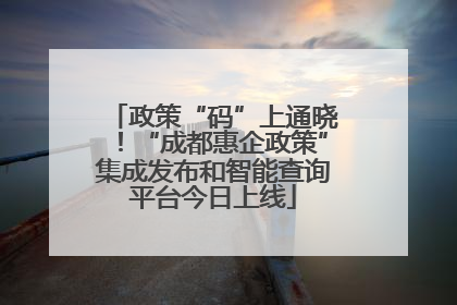 政策“码”上通晓！“成都惠企政策”集成发布和智能查询平台今日上线