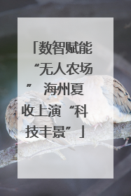 数智赋能“无人农场” 海州夏收上演“科技丰景”