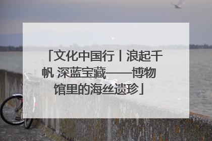 文化中国行丨浪起千帆 深蓝宝藏——博物馆里的海丝遗珍