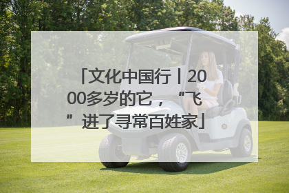 文化中国行丨2000多岁的它，“飞”进了寻常百姓家