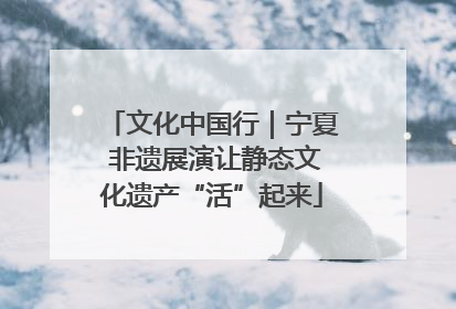 文化中国行｜宁夏 非遗展演让静态文化遗产“活”起来