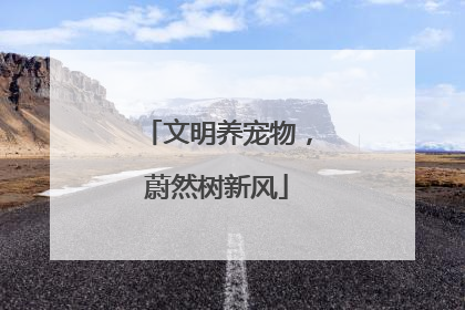 文明养宠物，蔚然树新风