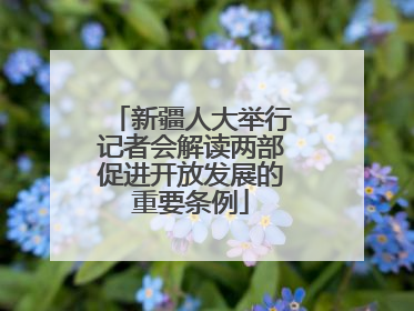 新疆人大举行记者会解读两部促进开放发展的重要条例