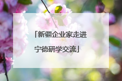 新疆企业家走进宁德研学交流