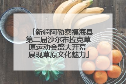 新疆阿勒泰福海县第二届沙尔布拉克草原运动会盛大开幕 展现草原文化魅力