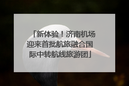 新体验！济南机场迎来首批航旅融合国际中转航线旅游团