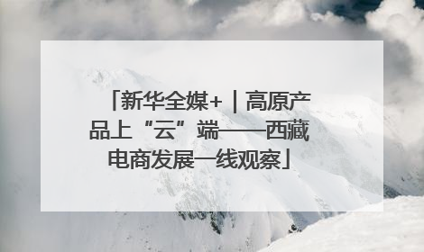 新华全媒+｜高原产品上“云”端——西藏电商发展一线观察