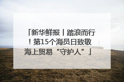 新华鲜报丨踏浪而行！第15个海员日致敬海上贸易“守护人”
