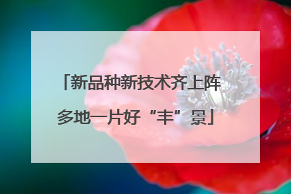 新品种新技术齐上阵 多地一片好“丰”景