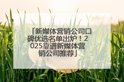 新媒体营销公司口碑优选名单出炉！2025靠谱新媒体营销公司推荐