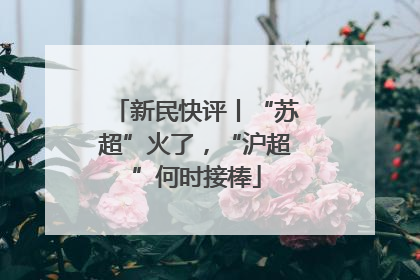 新民快评丨“苏超”火了，“沪超”何时接棒