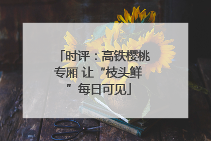 时评：高铁樱桃专厢 让“枝头鲜”每日可见
