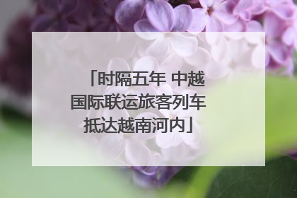 时隔五年 中越国际联运旅客列车抵达越南河内