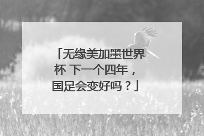 无缘美加墨世界杯 下一个四年，国足会变好吗？
