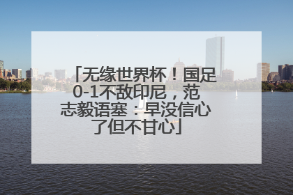无缘世界杯！国足0-1不敌印尼，范志毅语塞：早没信心了但不甘心