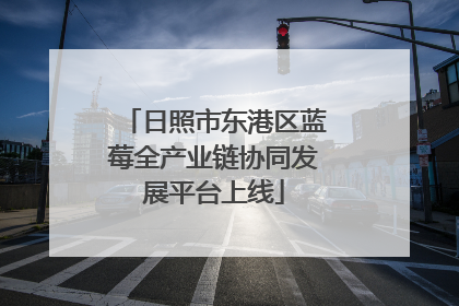 日照市东港区蓝莓全产业链协同发展平台上线