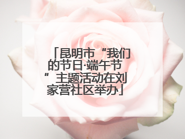 昆明市“我们的节日·端午节”主题活动在刘家营社区举办