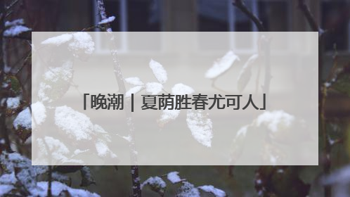 晚潮｜夏荫胜春尤可人