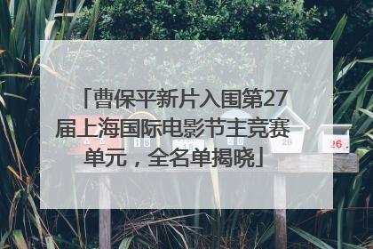 曹保平新片入围第27届上海国际电影节主竞赛单元，全名单揭晓