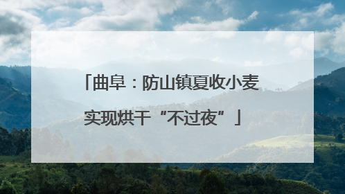 曲阜：防山镇夏收小麦实现烘干“不过夜”