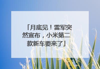 月底见！雷军突然宣布，小米第二款新车要来了