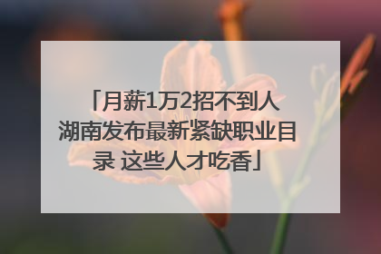 月薪1万2招不到人 湖南发布最新紧缺职业目录 这些人才吃香
