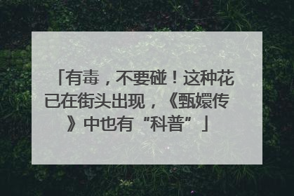 有毒，不要碰！这种花已在街头出现，《甄嬛传》中也有“科普”